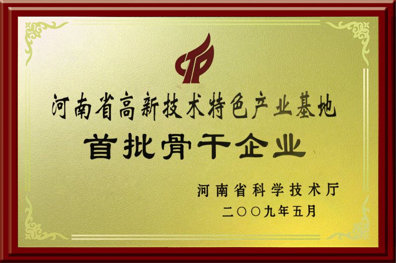 首批骨干企業
